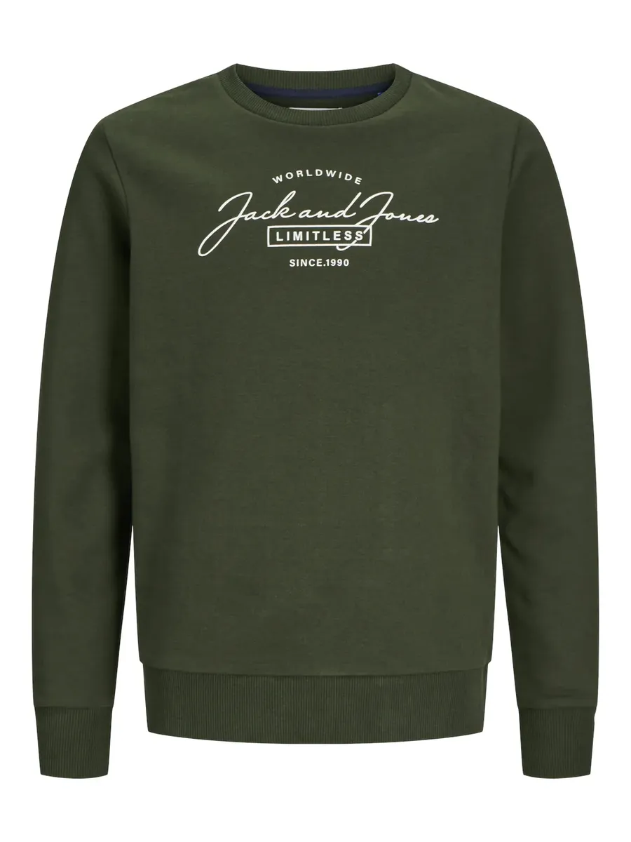 Детская толстовка Jack & Jones "JJFERRIS SWEAT CREW NECK JNR" Jack & Jones Junior, зеленый
Детская толстовка Jack & Jones "JJFERRIS SWEAT CREW NECK JNR" Jack & Jones Junior, зеленый