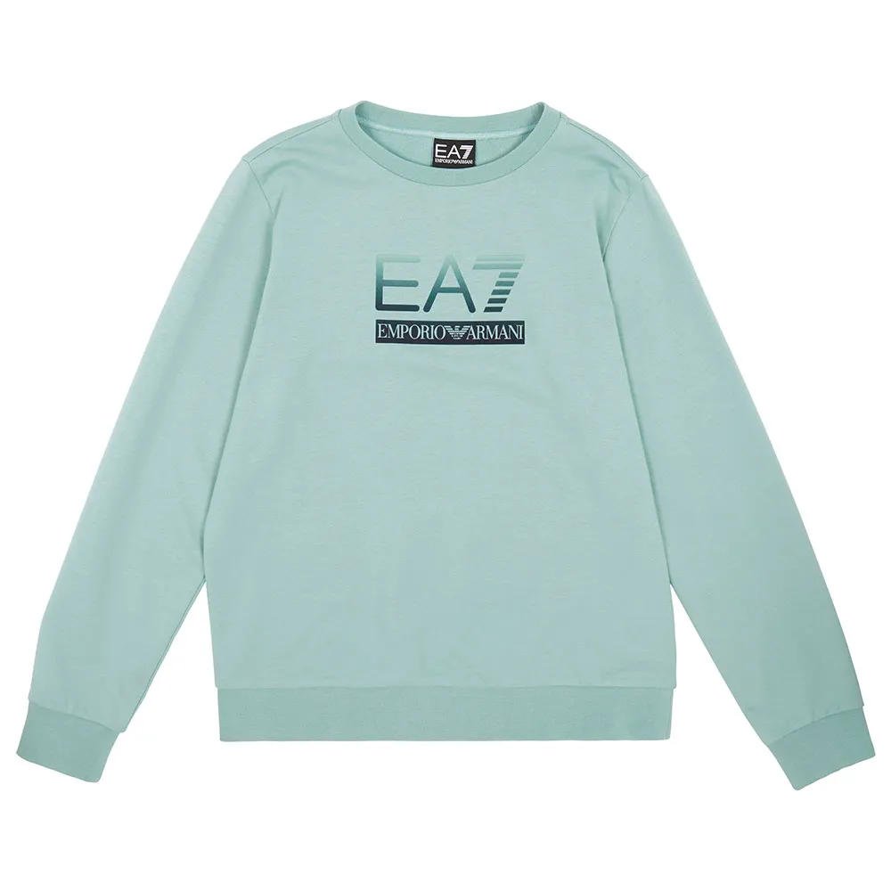 Толстовка EA7 EMPORIO ARMANI Train Visibility Coft, зеленый
Толстовка EA7 EMPORIO ARMANI Train Visibility Coft, зеленый