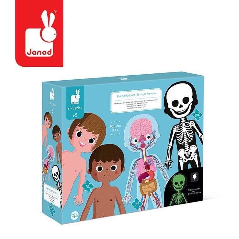 Janod, пазл развивающий Человеческое тело, 50/75/100 шт.
Janod, пазл развивающий Человеческое тело, 50/75/100 шт.