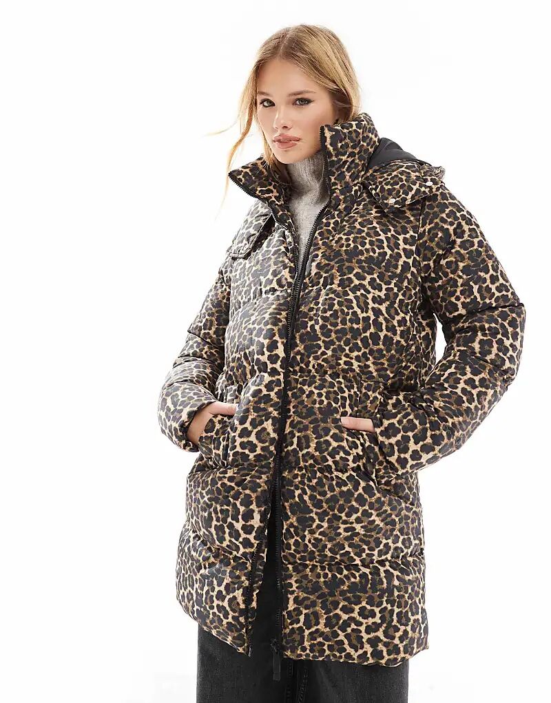 Пуховик средней длины с леопардовым принтом Threadbare, Коричневый, Пуховик средней длины с леопардовым принтом Threadbare
Пуховик средней длины с леопардовым принтом Threadbare, Коричневый, Пуховик средней длины с леопардовым принтом Threadbare