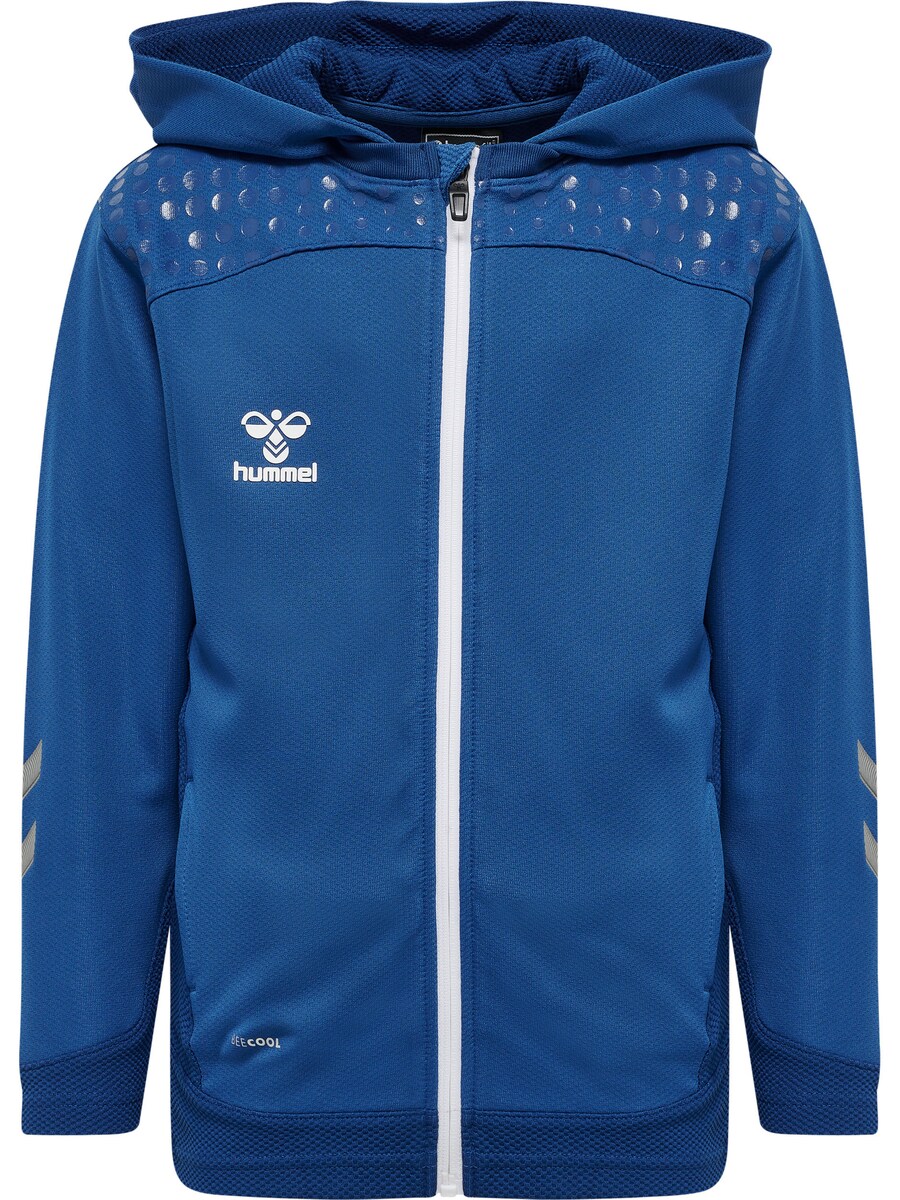 Спортивная толстовка с капюшоном на молнии Hummel, королевский синий
Спортивная толстовка с капюшоном на молнии Hummel, королевский синий