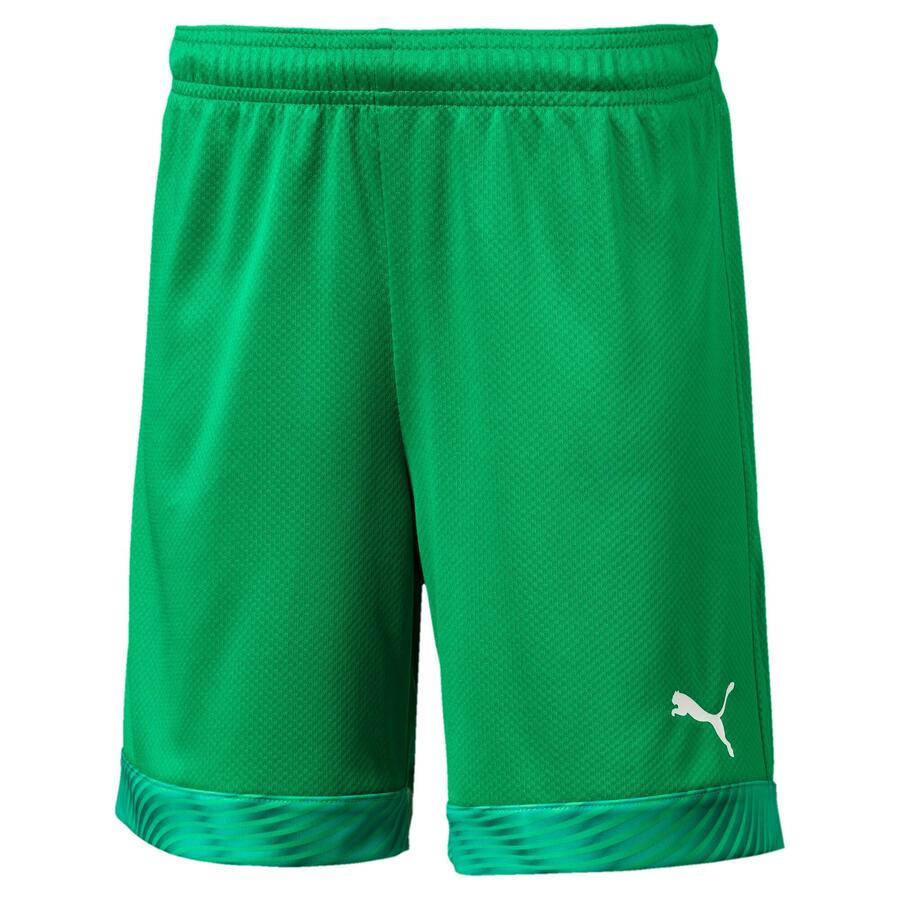 Детские шорты Puma Short Cup Jr 704035
Детские шорты Puma Short Cup Jr 704035