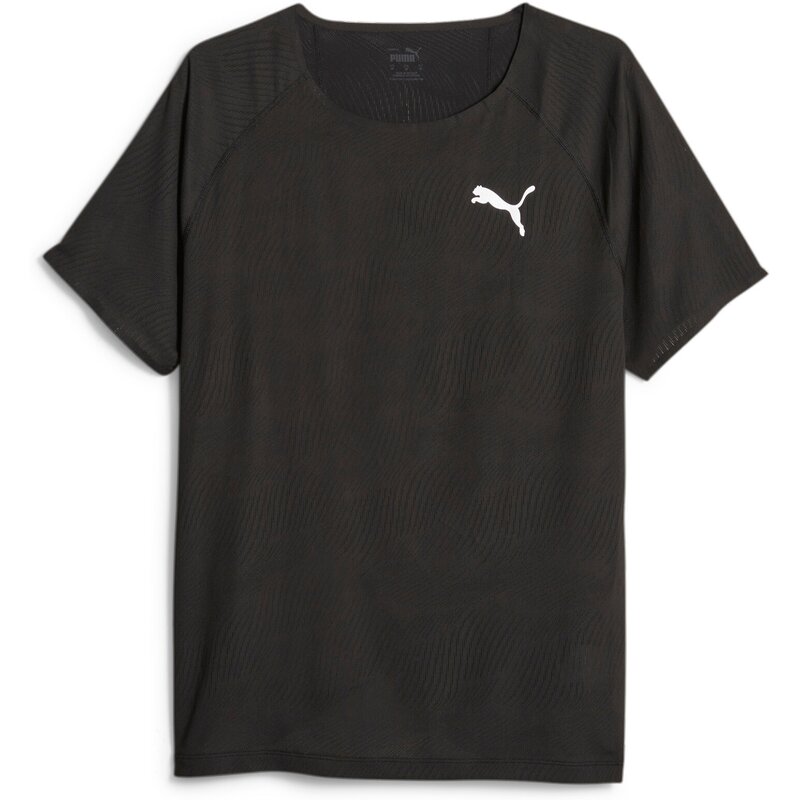 Футболка ультраспановая ss tee для бега Puma, черный
Футболка ультраспановая ss tee для бега Puma, черный