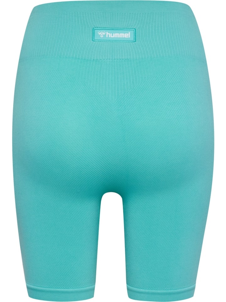 Леггинсы Alive Seamless High Waist Shorts синего цвета Hummel
Леггинсы Alive Seamless High Waist Shorts синего цвета Hummel