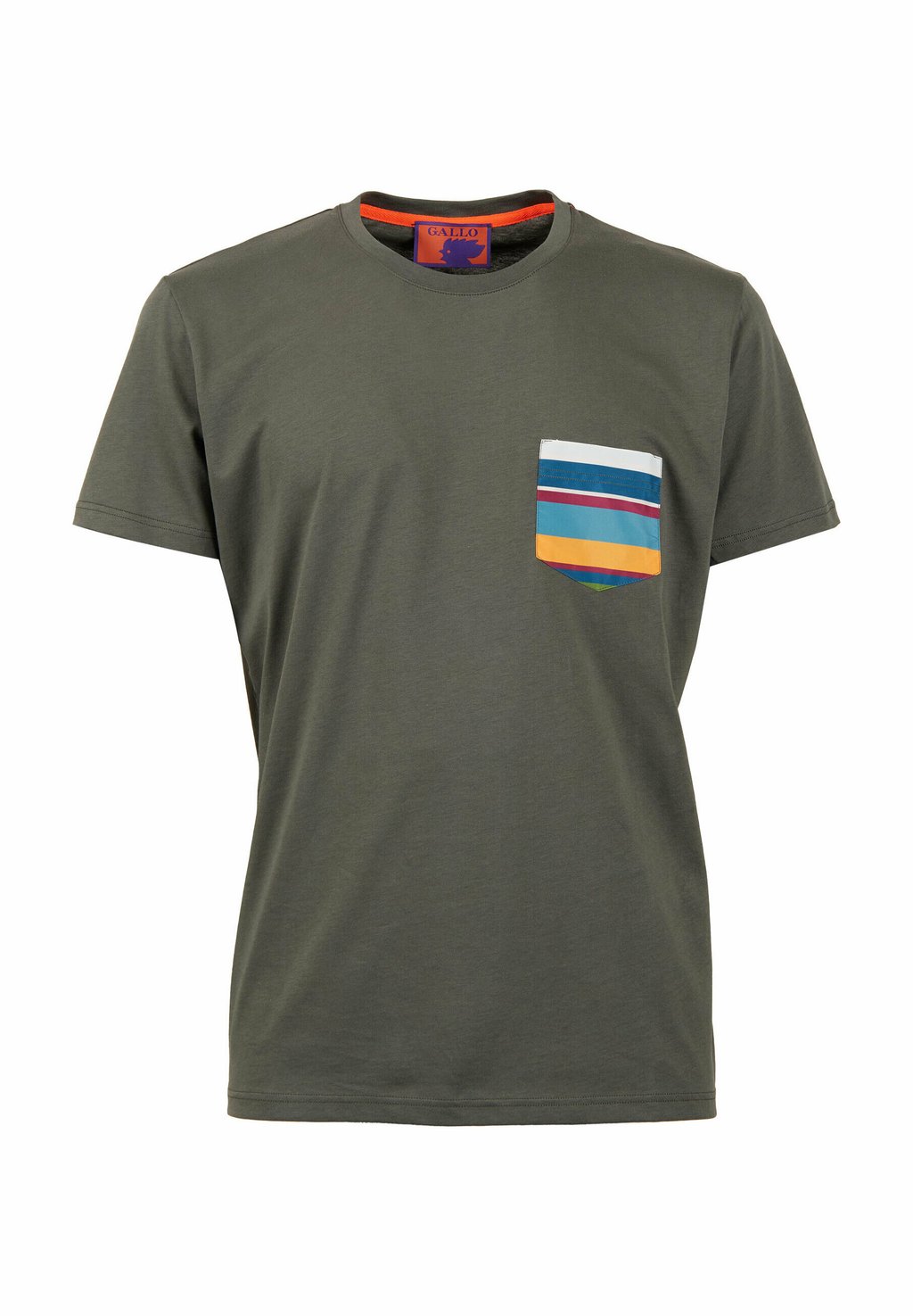 Футболка с принтом Gallo, зеленый
Футболка с принтом Gallo, зеленый