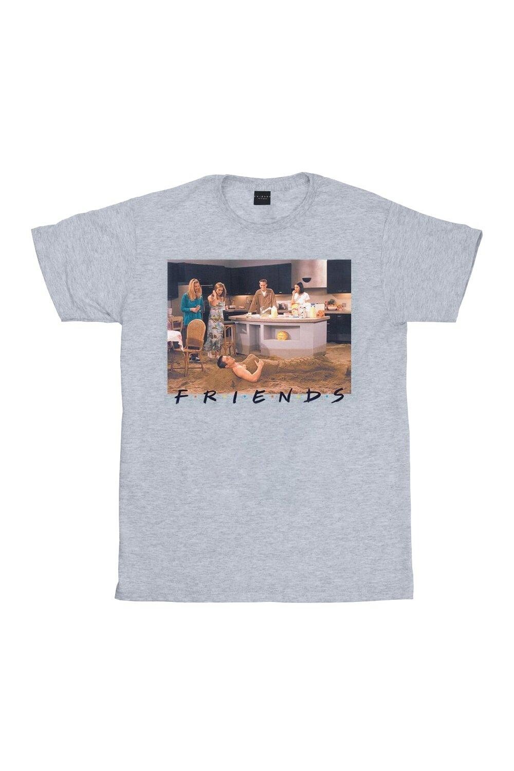 Футболка Джои Русалка Friends, серый
Футболка Джои Русалка Friends, серый