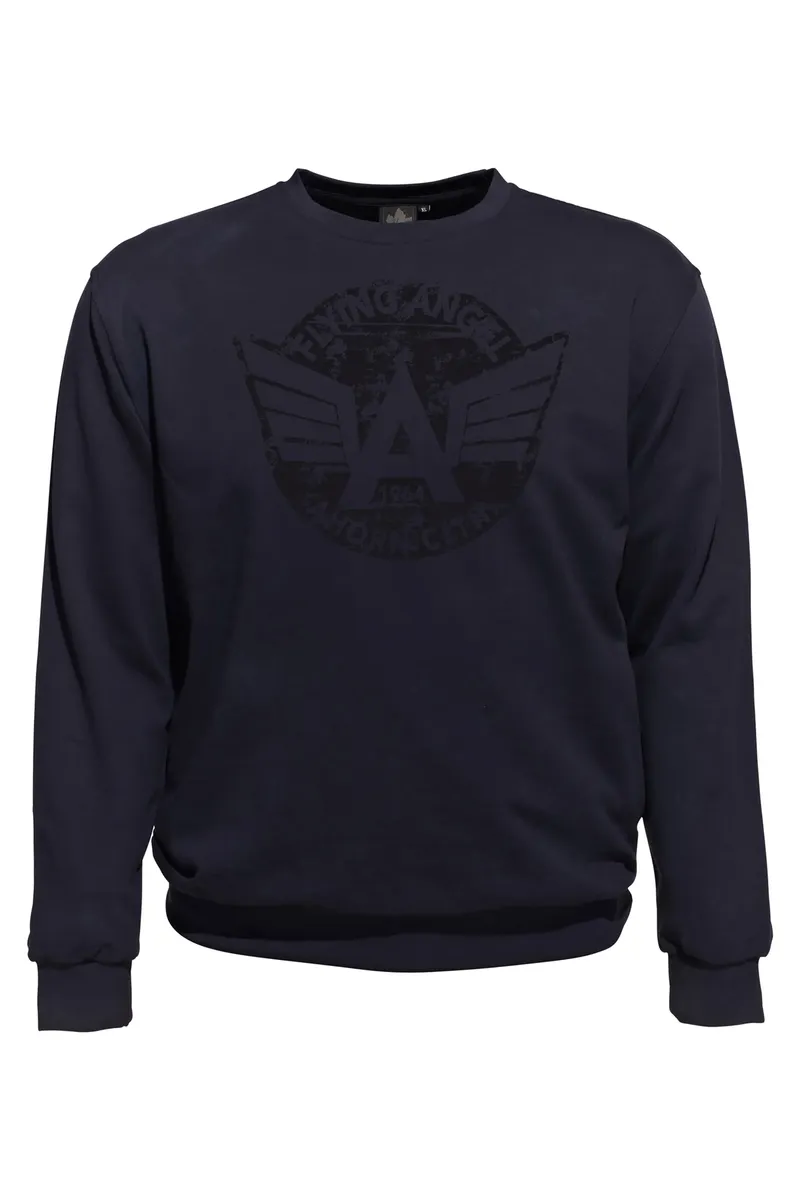 Толстовка AHORN SPORTSWEAR с модным принтом спереди, синий
Толстовка AHORN SPORTSWEAR с модным принтом спереди, синий