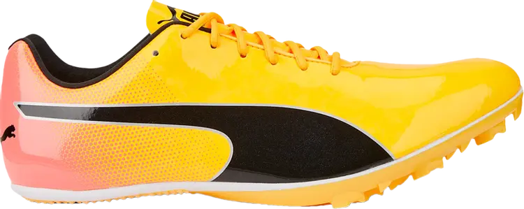 Бутсы Puma evoSpeed Sprint 14 Sun Stream Sunset Glow, желтый
Бутсы Puma evoSpeed Sprint 14 Sun Stream Sunset Glow, желтый