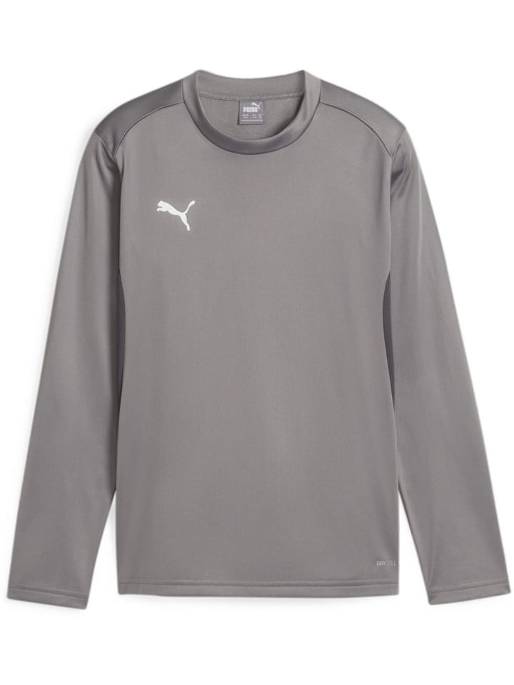 Свитер TeamGoal Training Sweat Jr серого цвета Puma
Свитер TeamGoal Training Sweat Jr серого цвета Puma