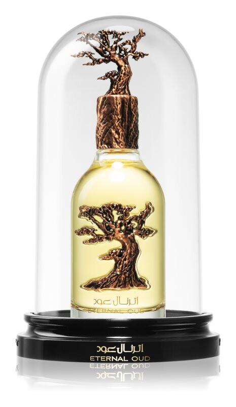 Парфюмерная вода Lattafa Pride Eternal Oud, 100 мл
Парфюмерная вода Lattafa Pride Eternal Oud, 100 мл