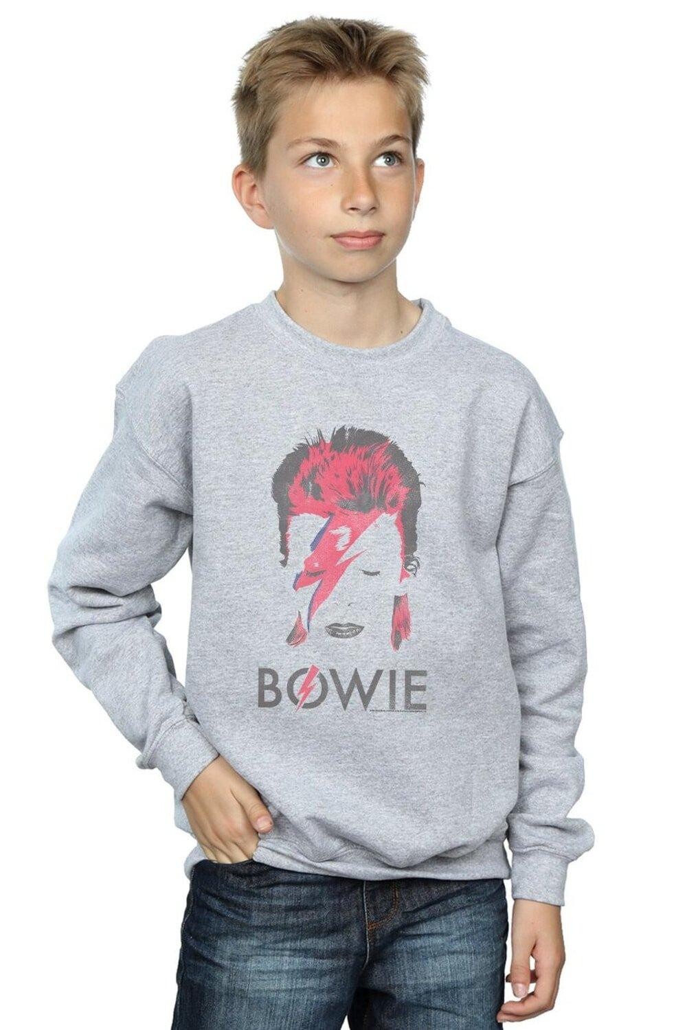 Толстовка Aladdin Sane с эффектом потертости David Bowie, серый
Толстовка Aladdin Sane с эффектом потертости David Bowie, серый