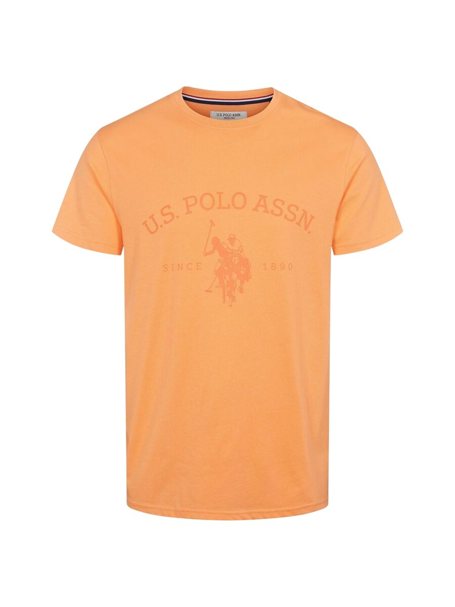 Рубашка U.S. POLO ASSN. Archibald, цвет Mandarine/Light orange
Рубашка U.S. POLO ASSN. Archibald, цвет Mandarine/Light orange