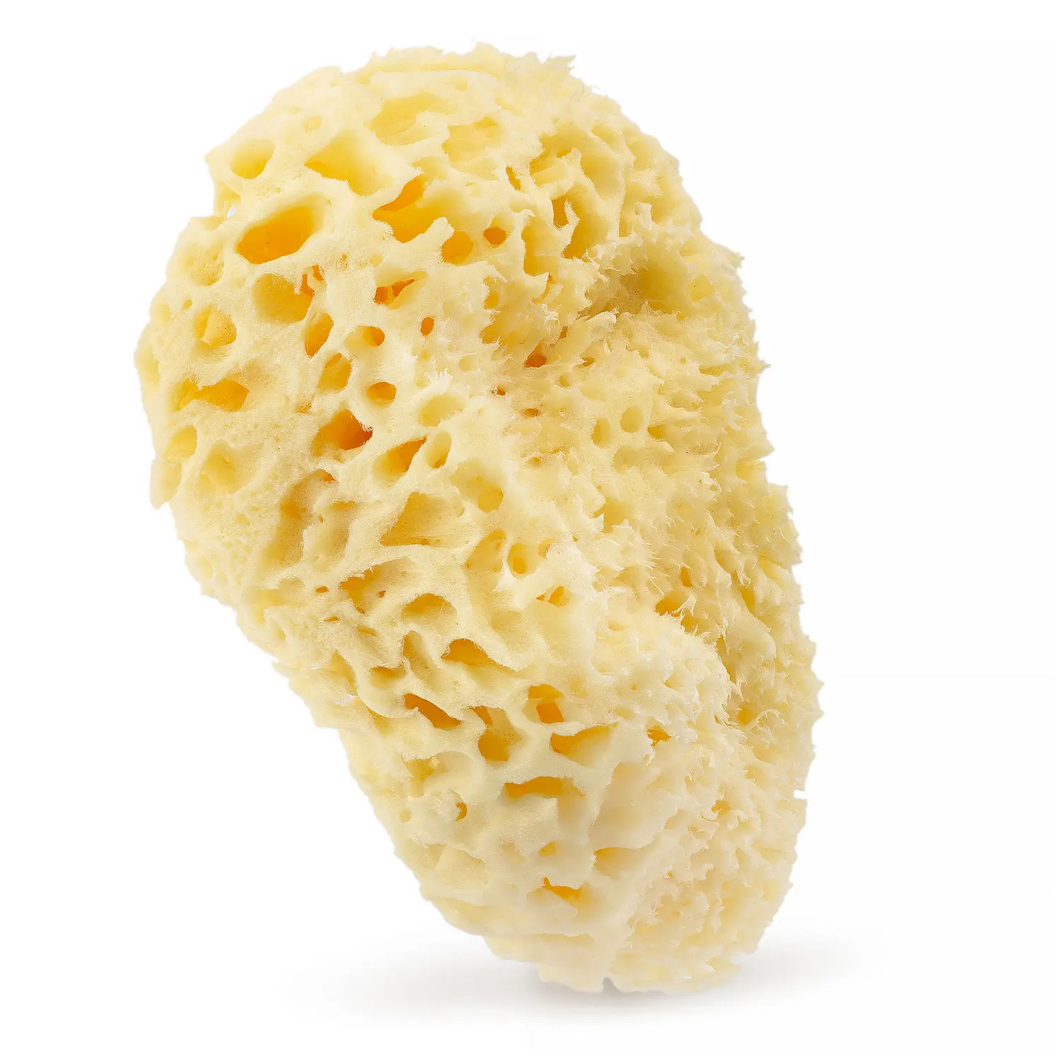 Hhuumm натуральная губка для ванн 17,5 см, 1 шт.
Hhuumm натуральная губка для ванн 17,5 см, 1 шт.