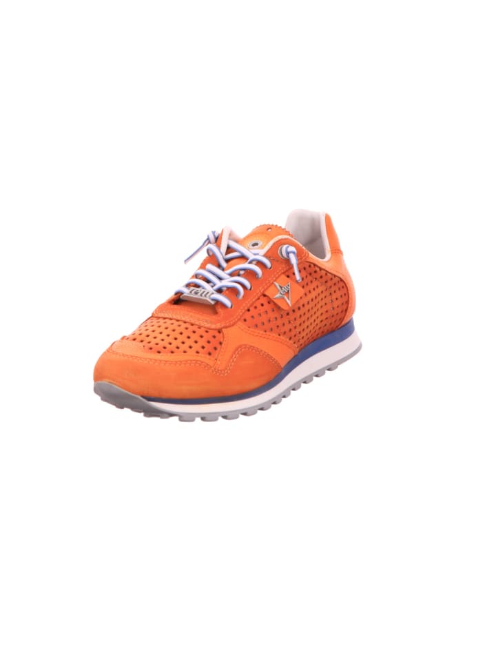 Cetti Туфли на шнуровке оранжевого цвета
Cetti Туфли на шнуровке оранжевого цвета