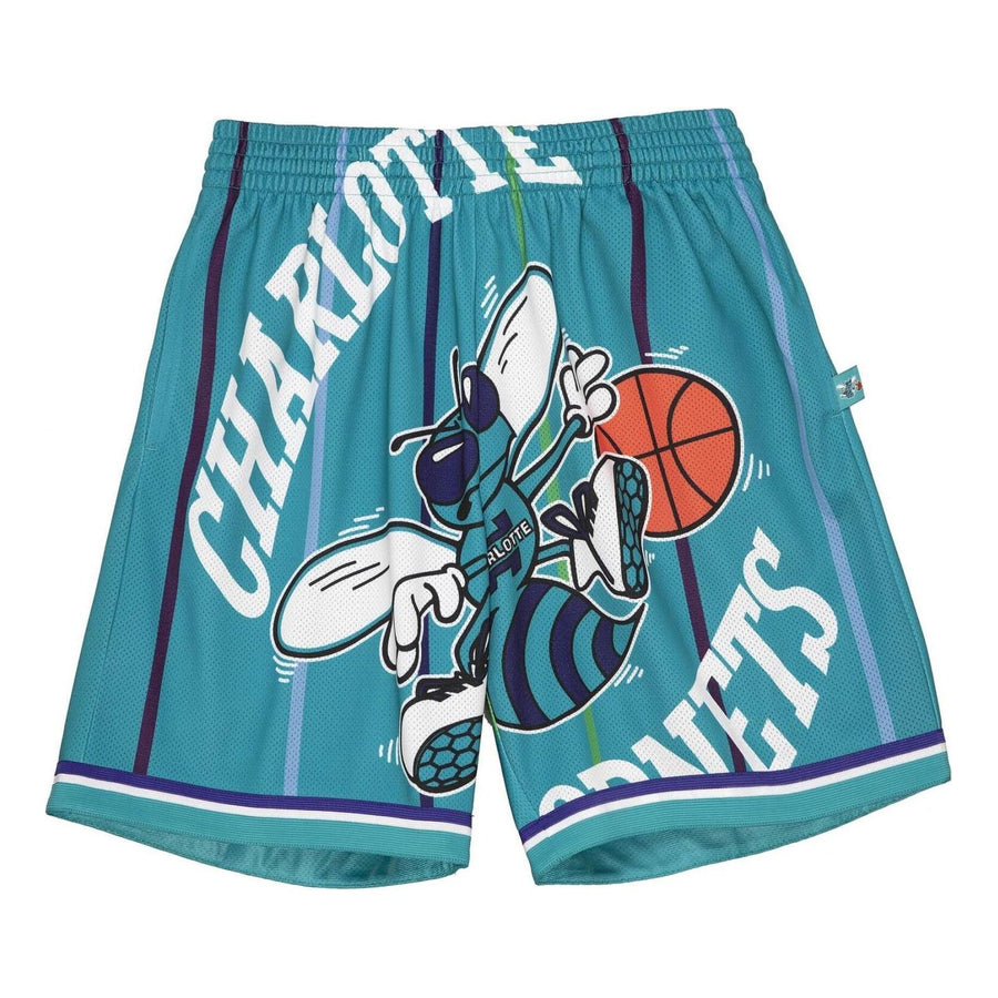 Спортивные шорты Mitchell & Ness x NBA Big Face Shorts 'Charlotte Hornets', зеленый 
Спортивные шорты Mitchell & Ness x NBA Big Face Shorts 'Charlotte Hornets', зеленый