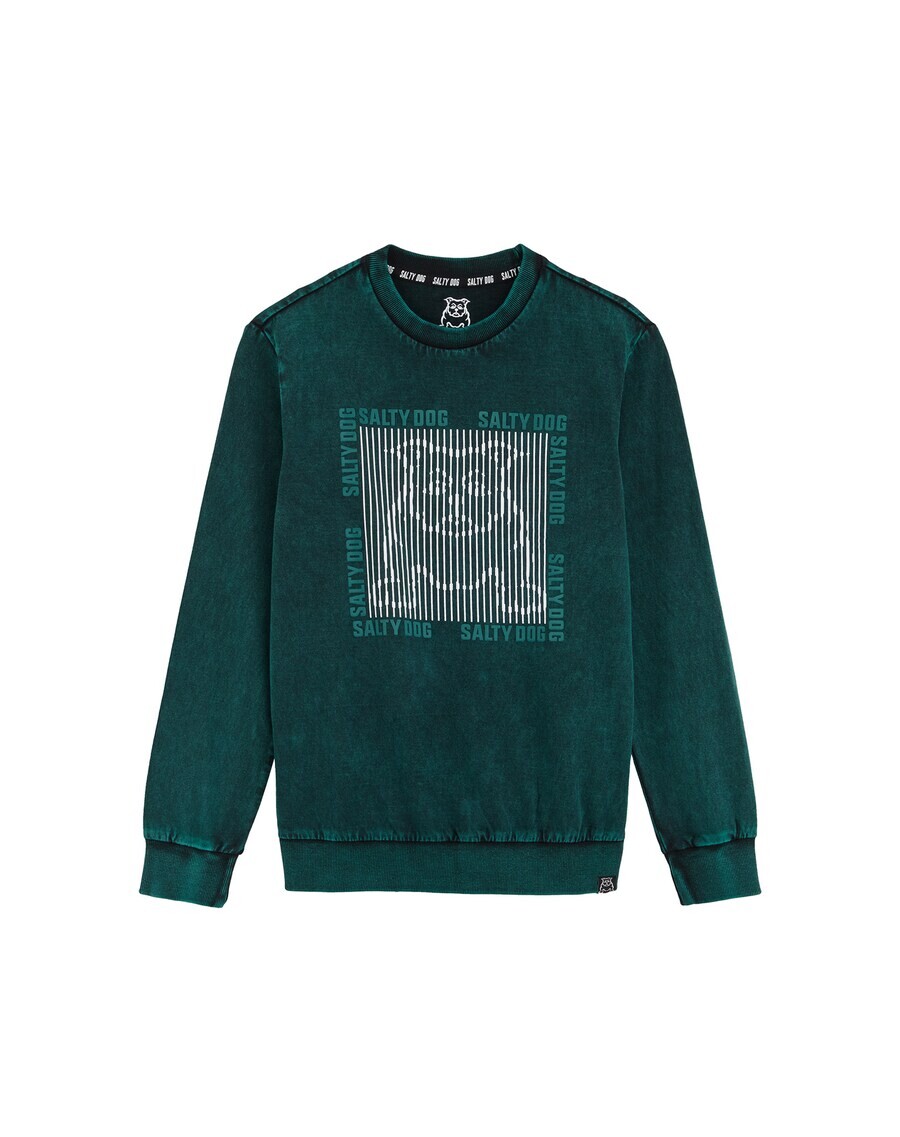 Толстовка WE Fashion, зеленый
Толстовка WE Fashion, зеленый