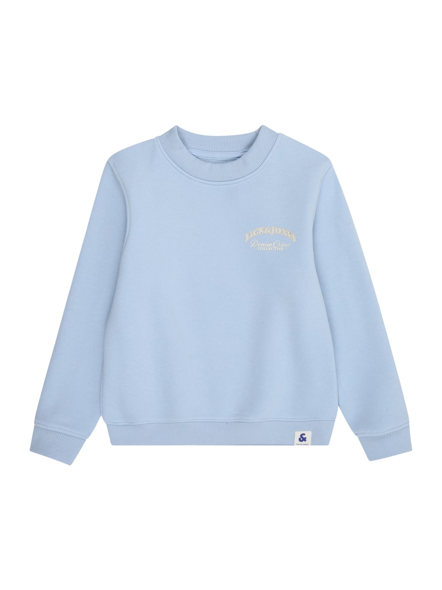 Толстовка JACK & JONES MINI, светло-голубой
Толстовка JACK & JONES MINI, светло-голубой