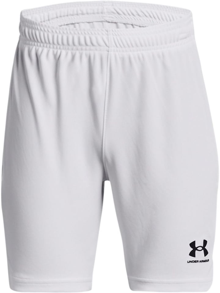 Under Armour Спортивные шорты "Y Challenger Core Short" белого цвета
Under Armour Спортивные шорты "Y Challenger Core Short" белого цвета