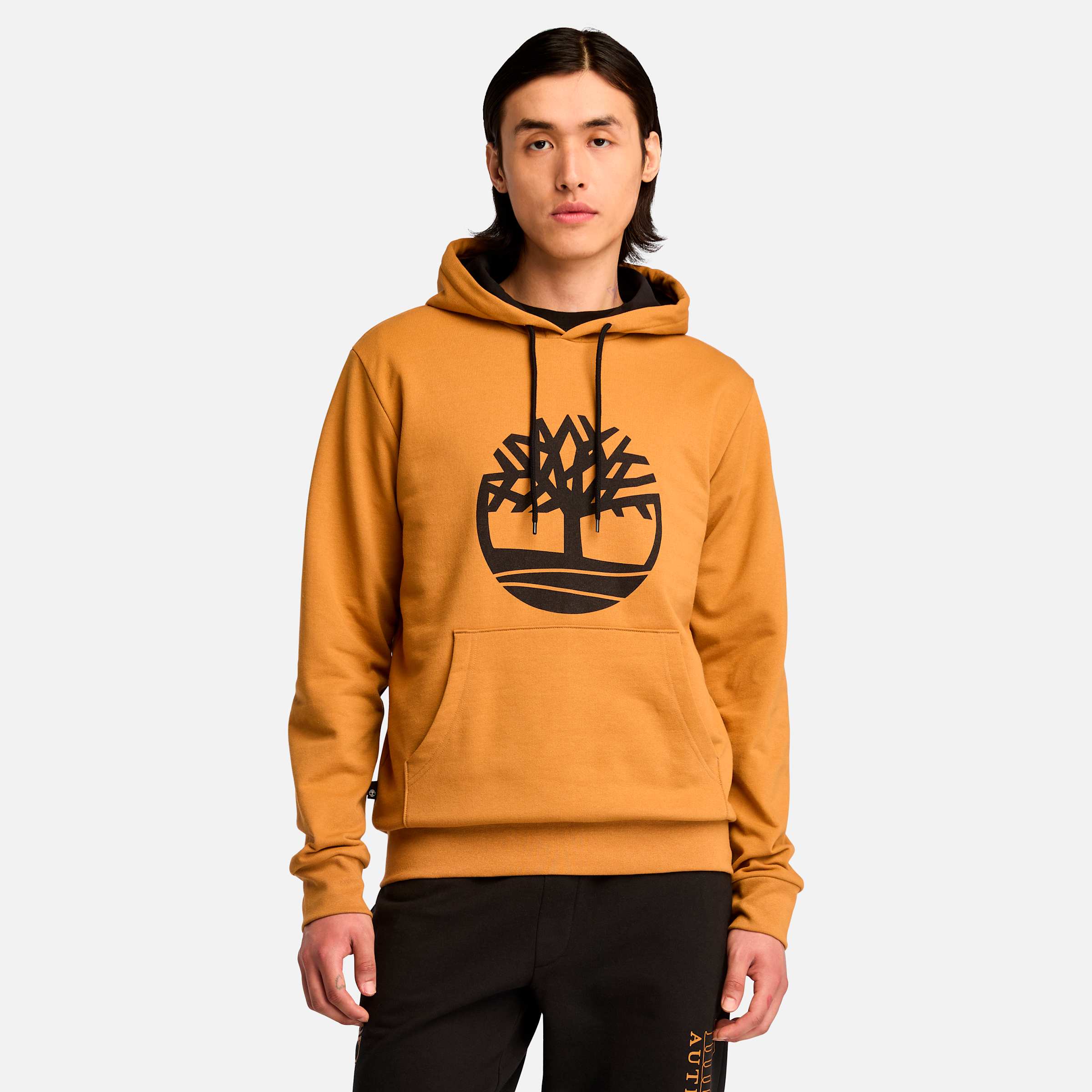 Мужская толстовка с капюшоном Northwood US Tree Logo Brushback Timberland, цвет wheat boot
Мужская толстовка с капюшоном Northwood US Tree Logo Brushback Timberland, цвет wheat boot