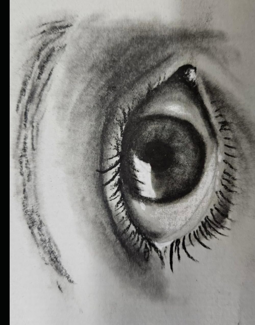 The Eye Journal (Independently published)
The Eye Journal (Independently published)