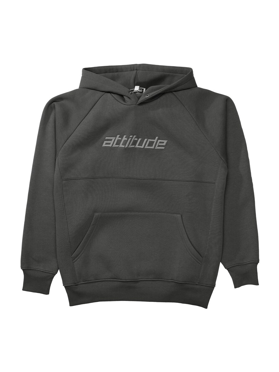 Толстовка STACCATO, светло-серый/темно-серый
Толстовка STACCATO, светло-серый/темно-серый