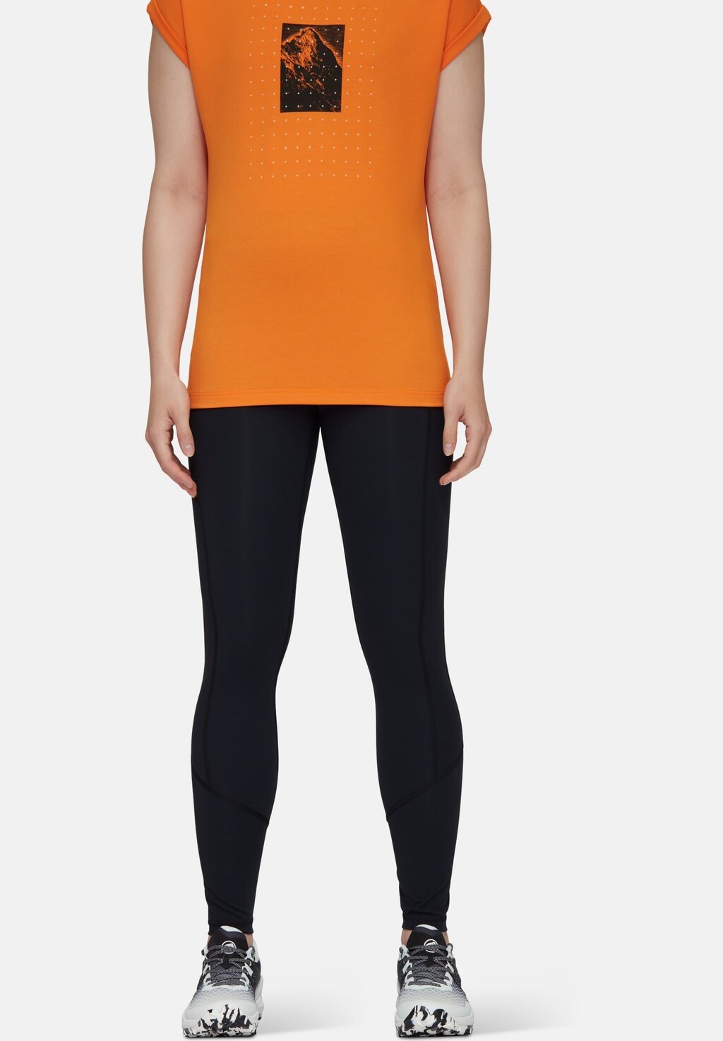 Тайтсы Mammut, черный
Тайтсы Mammut, черный