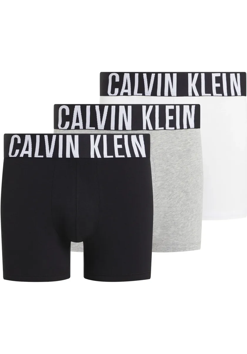 Боксеры Calvin Klein Underwear "BOXER BRIEF 3PK" (в упаковке 3 шт.), с эластичным поясом с логотипом, белый
Боксеры Calvin Klein Underwear "BOXER BRIEF 3PK" (в упаковке 3 шт.), с эластичным поясом с логотипом, белый
