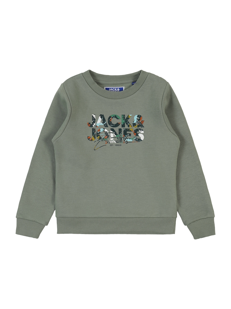 Толстовка JACK & JONES MINI JJGEPLAS, пастельно-зеленый/темно-зеленый
Толстовка JACK & JONES MINI JJGEPLAS, пастельно-зеленый/темно-зеленый
