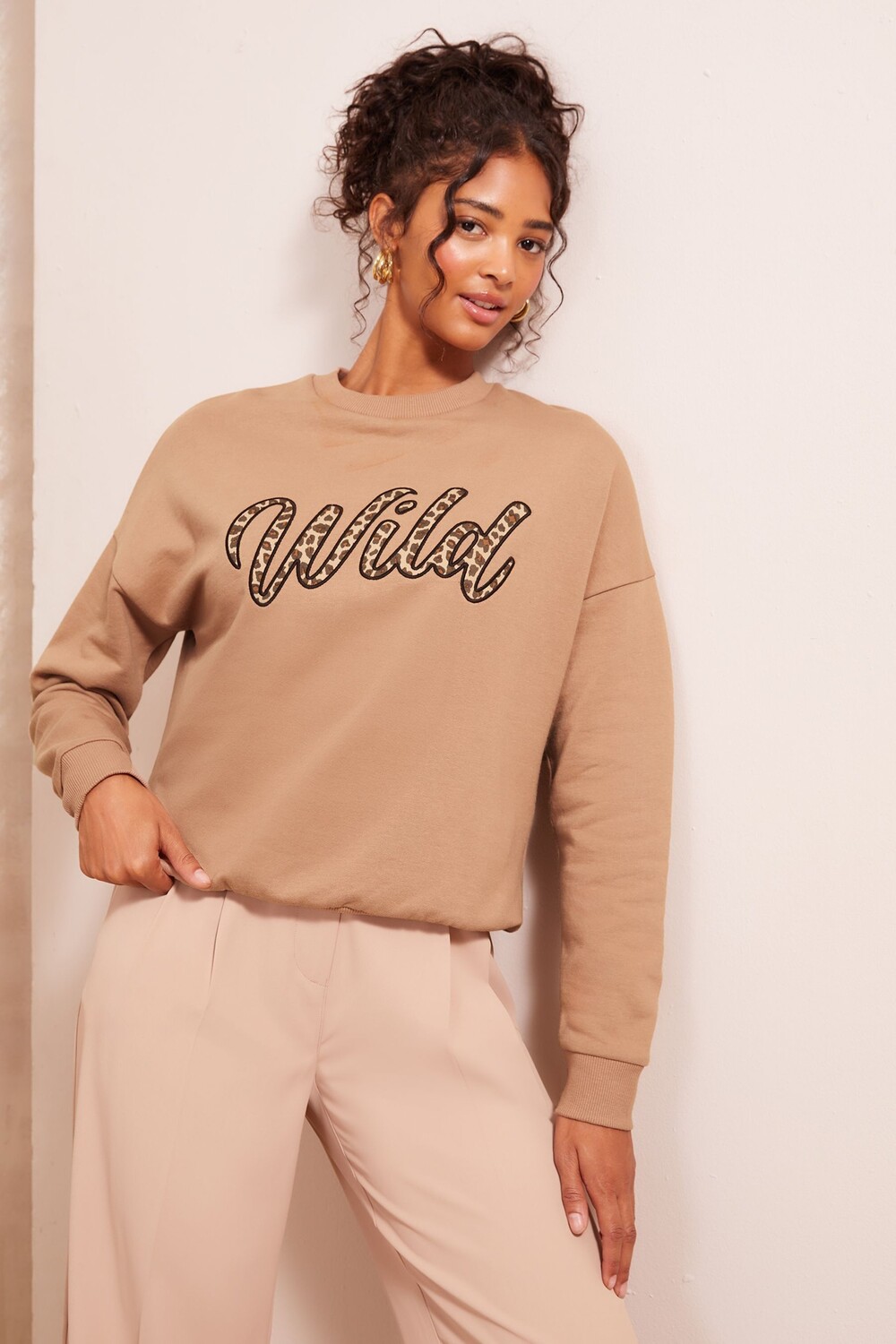 Толстовка с длинными рукавами и круглым вырезом Friends Like These, коричневый
Толстовка с длинными рукавами и круглым вырезом Friends Like These, коричневый