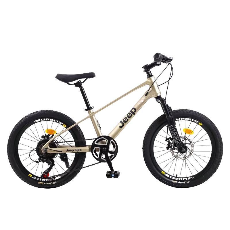 Горный велосипед magnesium alloy disc brake для подростков Jeep, золото
Горный велосипед magnesium alloy disc brake для подростков Jeep, золото