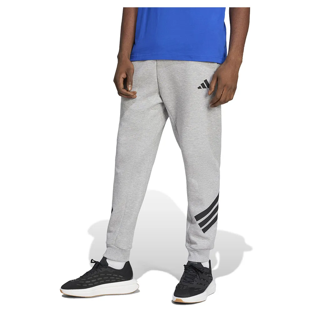 Спортивные брюки adidas Future Icons 3 Stripes, серый
Спортивные брюки adidas Future Icons 3 Stripes, серый