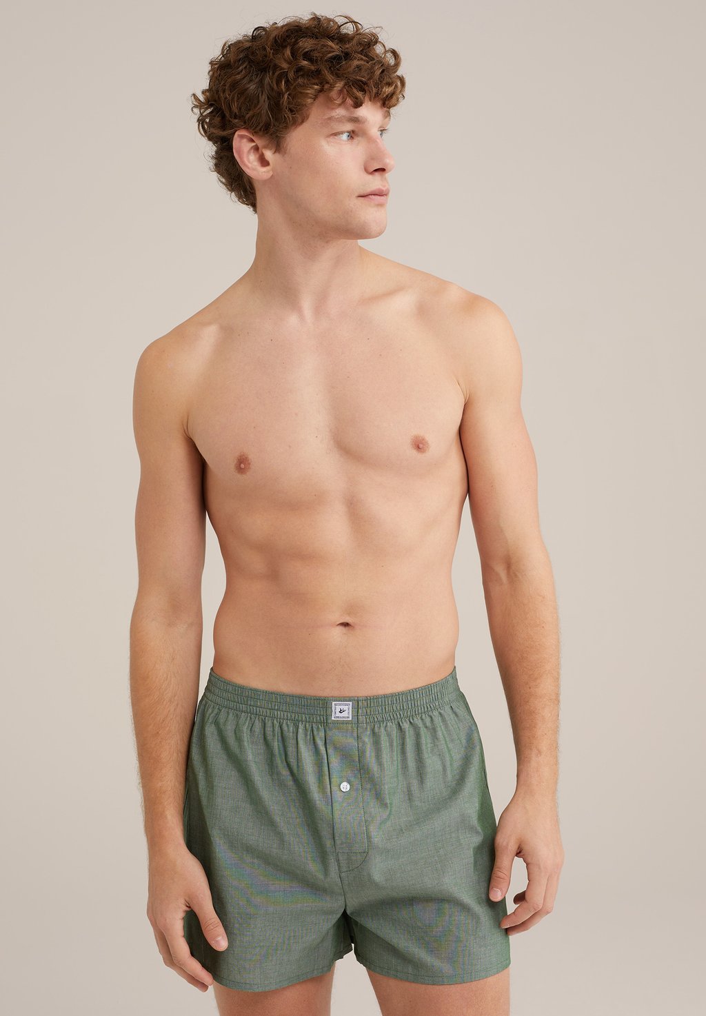 Боксеры WE Fashion, зеленый
Боксеры WE Fashion, зеленый