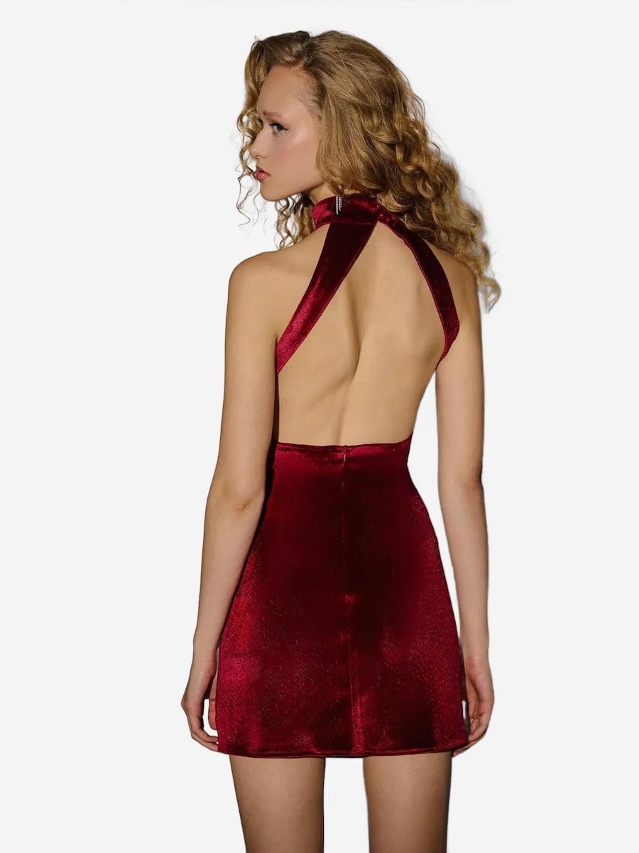 Коктейльное платье Hiccup, кроваво-красный
Коктейльное платье Hiccup, кроваво-красный