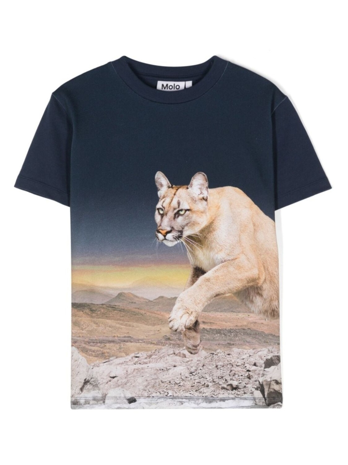 Molo футболка Roxo с принтом, синий
Molo футболка Roxo с принтом, синий