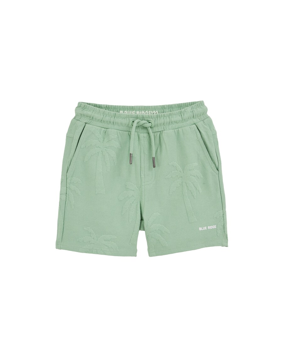 Обычные брюки WE Fashion, зеленый
Обычные брюки WE Fashion, зеленый