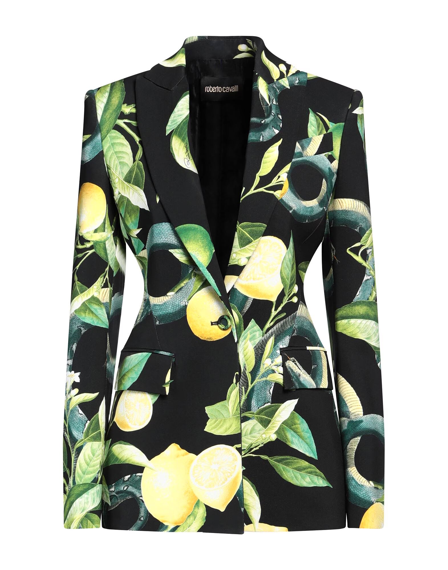 Блейзер Roberto Cavalli, черный
Блейзер Roberto Cavalli, черный