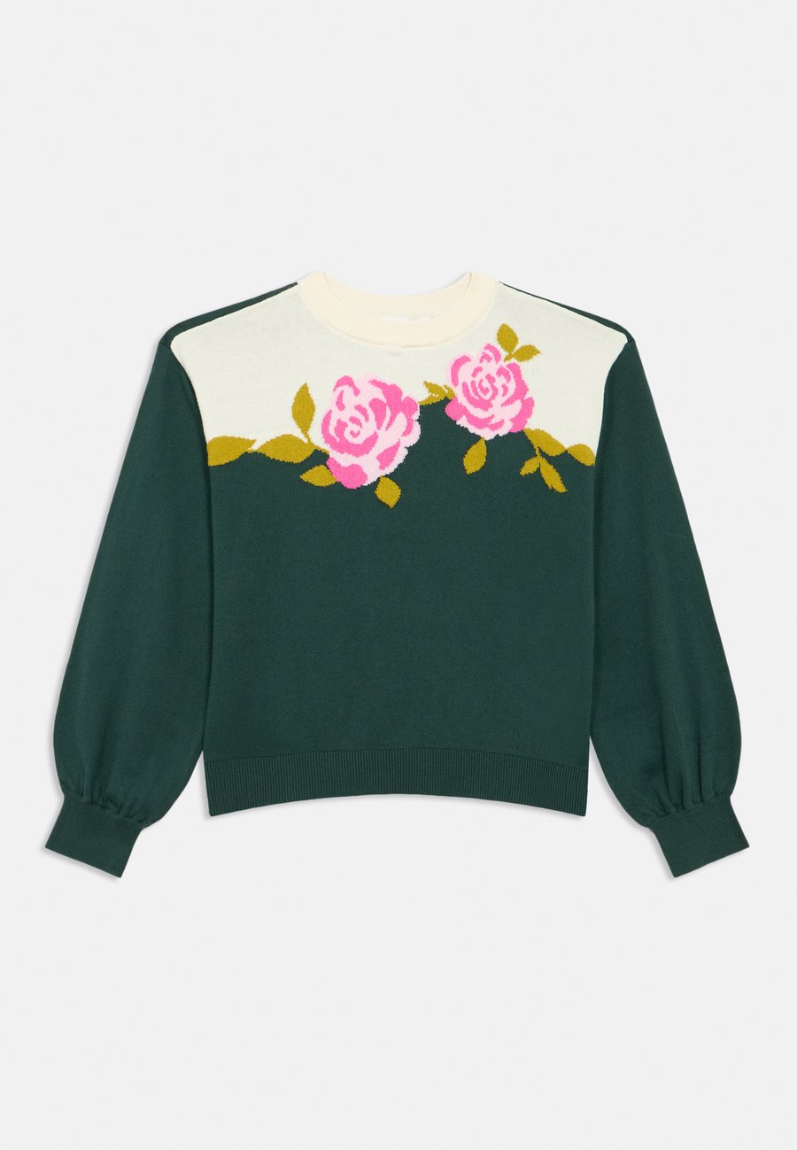 Джемпер GAP KIDS RELAXED SWEATER GIRLS, Pink/Dark Green
Джемпер GAP KIDS RELAXED SWEATER GIRLS, Pink/Dark Green