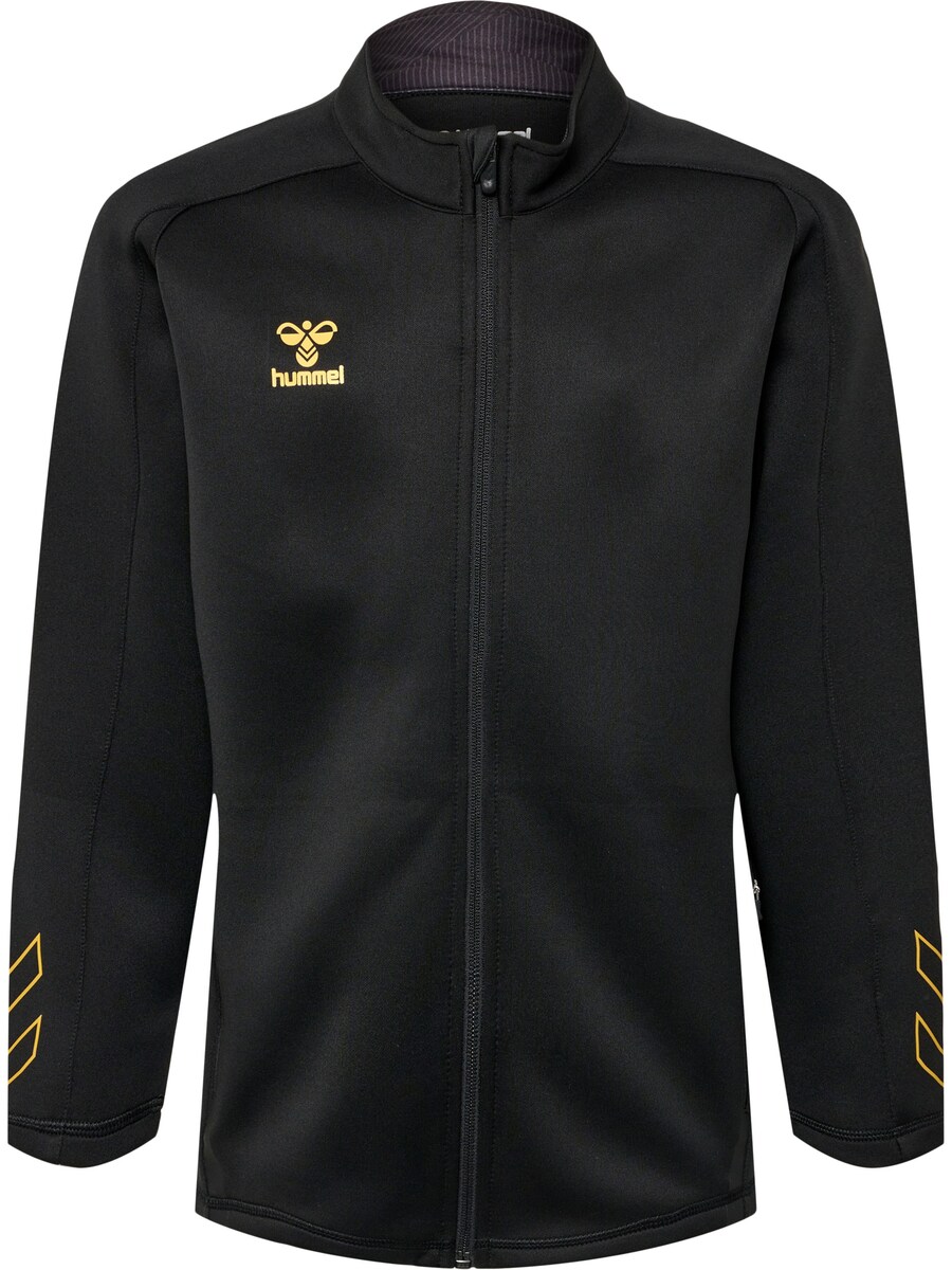 Спортивная толстовка с капюшоном на молнии Hummel, черный
Спортивная толстовка с капюшоном на молнии Hummel, черный