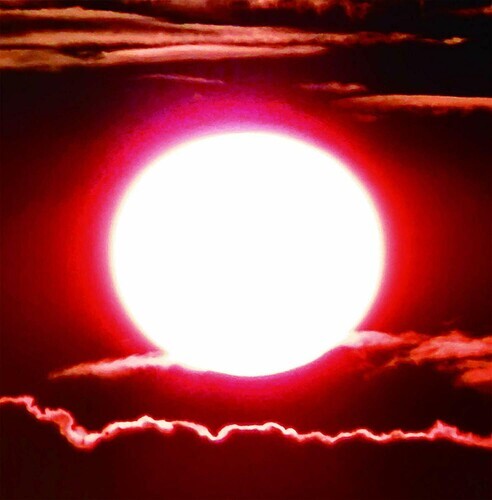 CD диск Ningen Isu: Ningen Isu 30th Anniversary Best
CD диск Ningen Isu: Ningen Isu 30th Anniversary Best