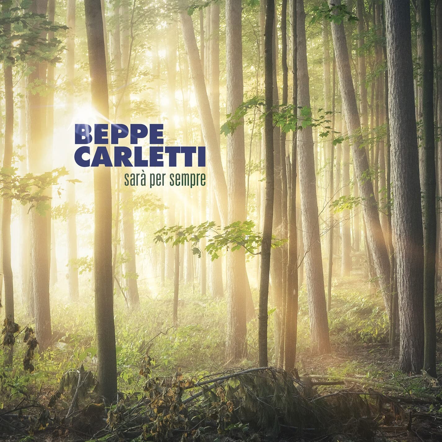 CD диск Carletti, Beppe: Sara Per Sempre
CD диск Carletti, Beppe: Sara Per Sempre
