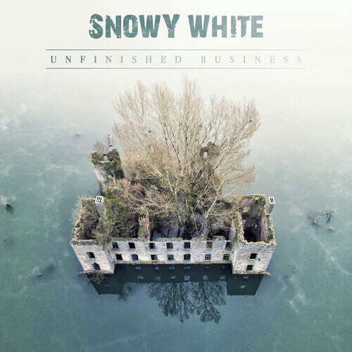 CD диск Snowy White: Unfinished Business
CD диск Snowy White: Unfinished Business