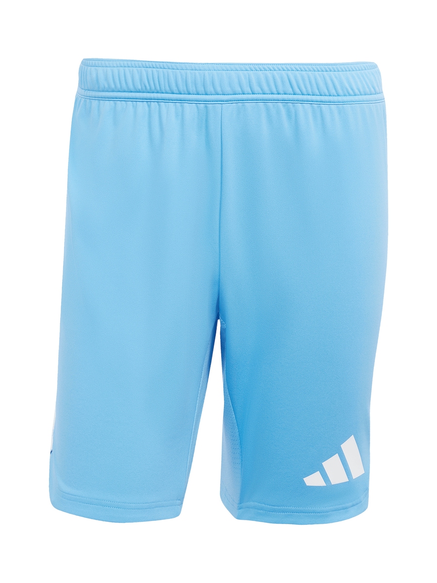 Обычные спортивные штаны ADIDAS PERFORMANCE Tiro 25 Pro, светло-голубой
Обычные спортивные штаны ADIDAS PERFORMANCE Tiro 25 Pro, светло-голубой