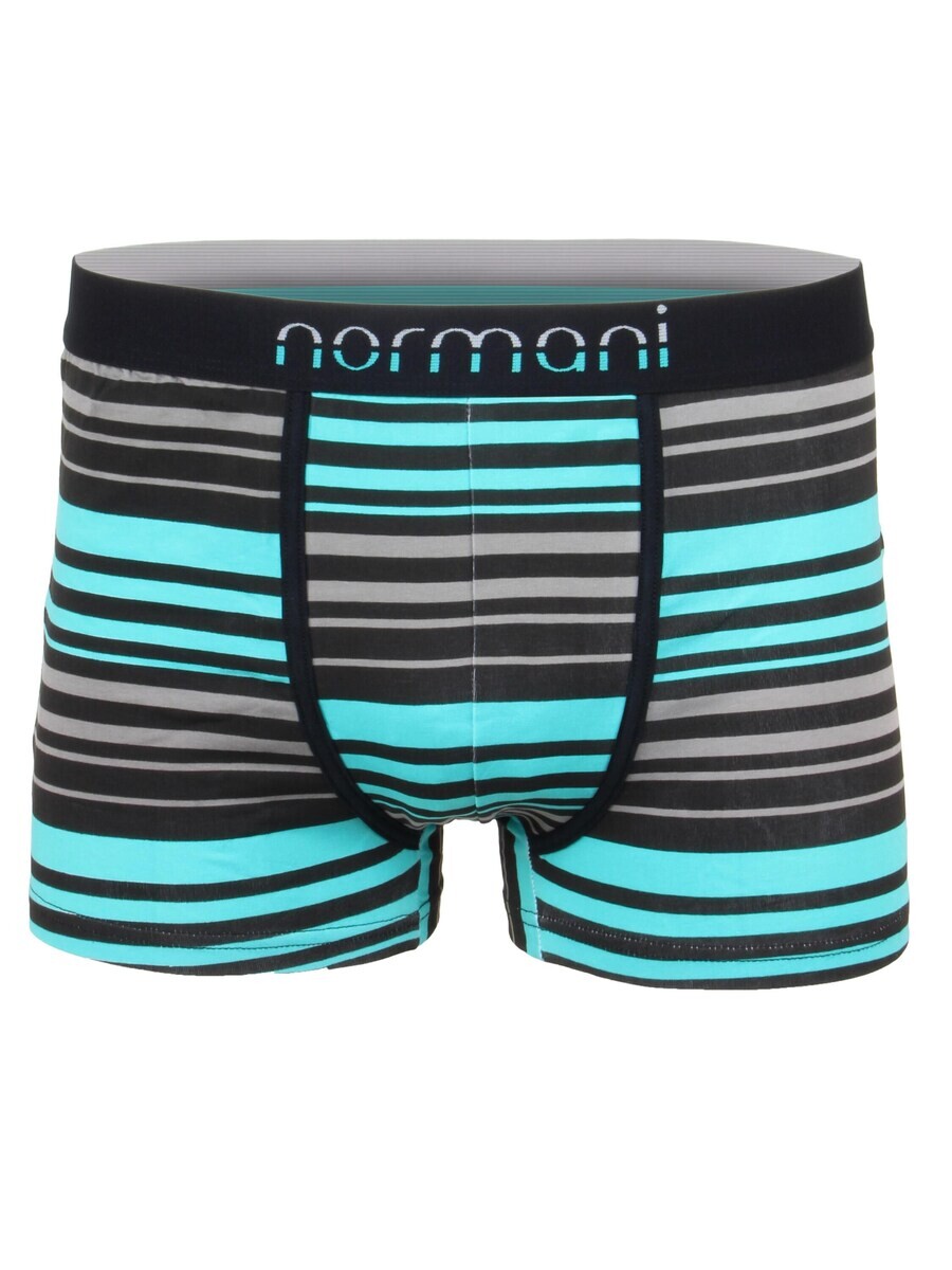 Боксеры Normani, синий/бирюзовый
Боксеры Normani, синий/бирюзовый