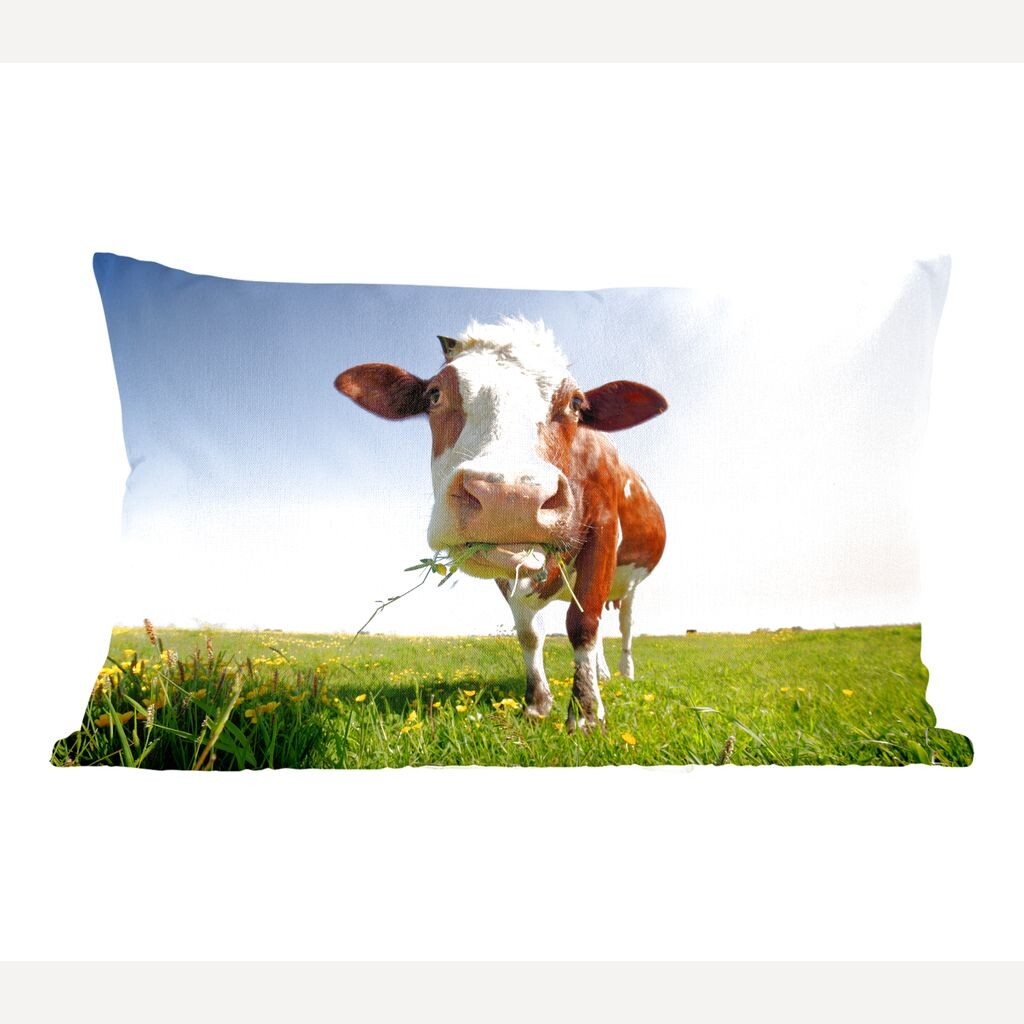 Коровы MuchoWow - корова крупным планом - 50x30 см - чехлы на диванные подушки - без наполнителя
Коровы MuchoWow - корова крупным планом - 50x30 см - чехлы на диванные подушки - без наполнителя