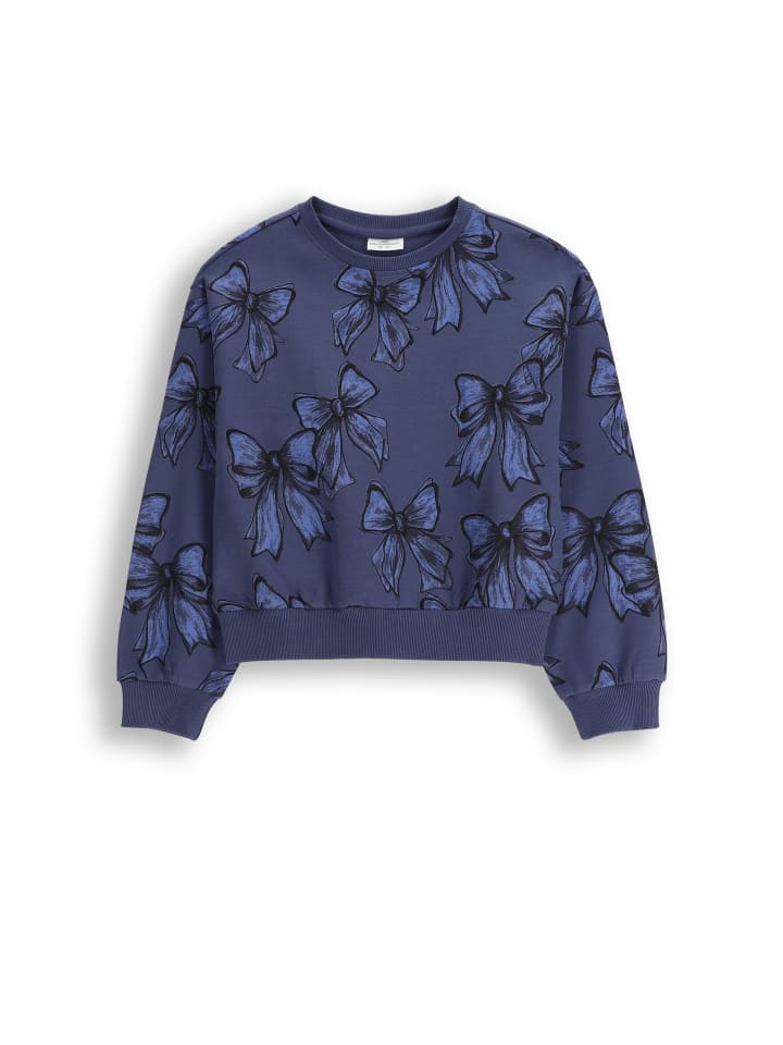 Толстовка Coccodrillo, темно-синий
Толстовка Coccodrillo, темно-синий