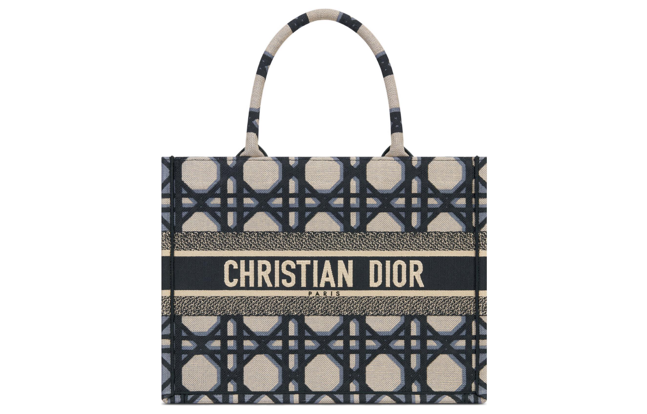 Сумка BookTote с вышивкой, шоппер, дамская сумка среднего размера бежево-синяя DIOR
Сумка BookTote с вышивкой, шоппер, дамская сумка среднего размера бежево-синяя DIOR