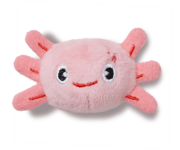 Джиббитсы Adjustable Axolotl Crocs
Джиббитсы Adjustable Axolotl Crocs