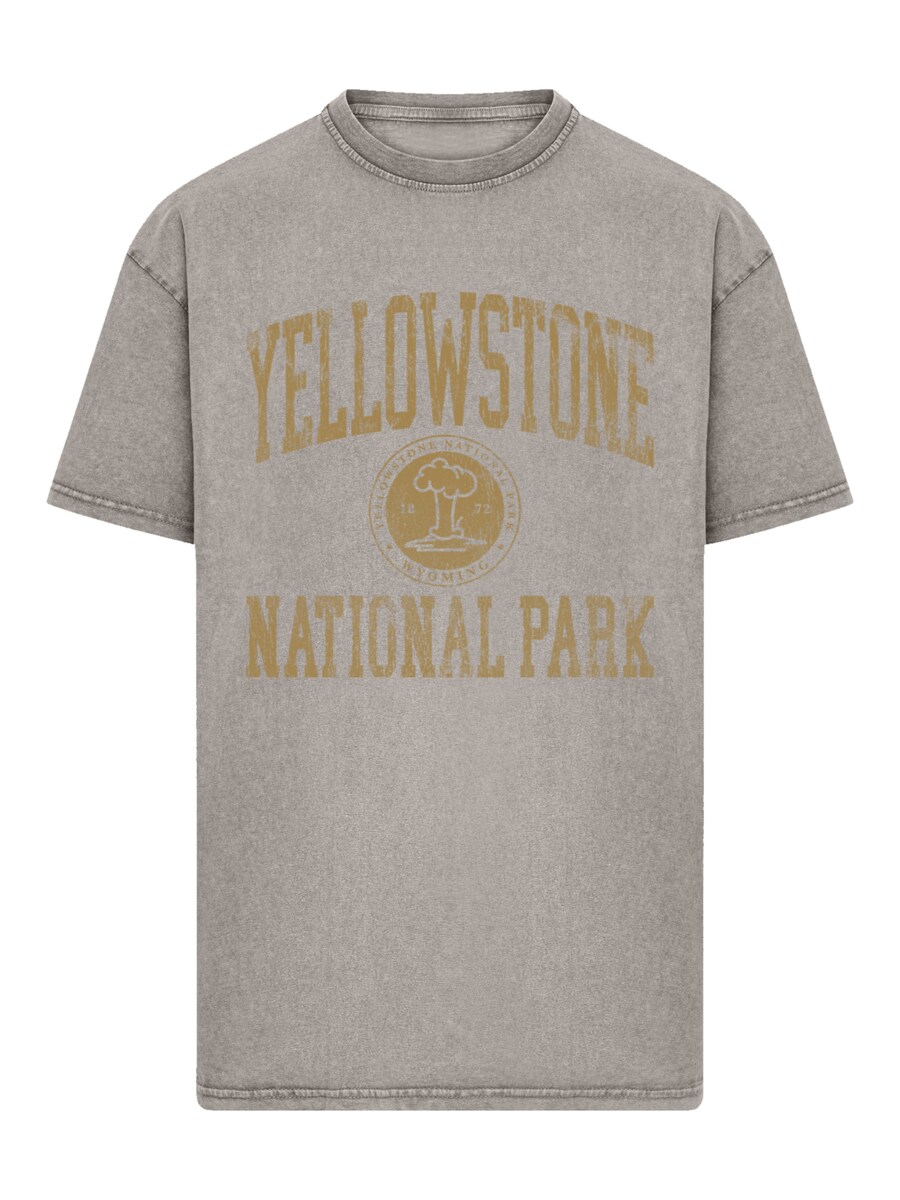 Рубашка F4NT4STIC, серый
Рубашка F4NT4STIC, серый