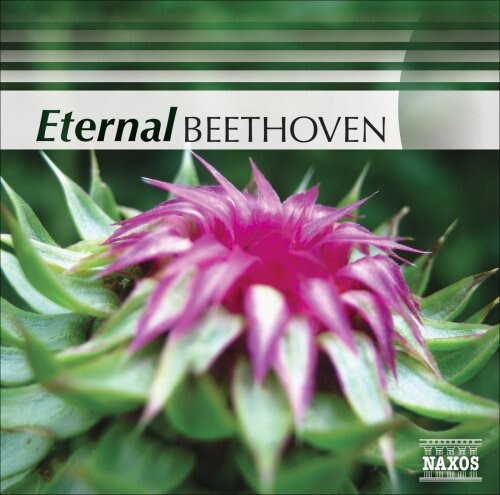 CD диск Eternal Beethoven / Various: Eternal Beethoven / Various
CD диск Eternal Beethoven / Various: Eternal Beethoven / Various