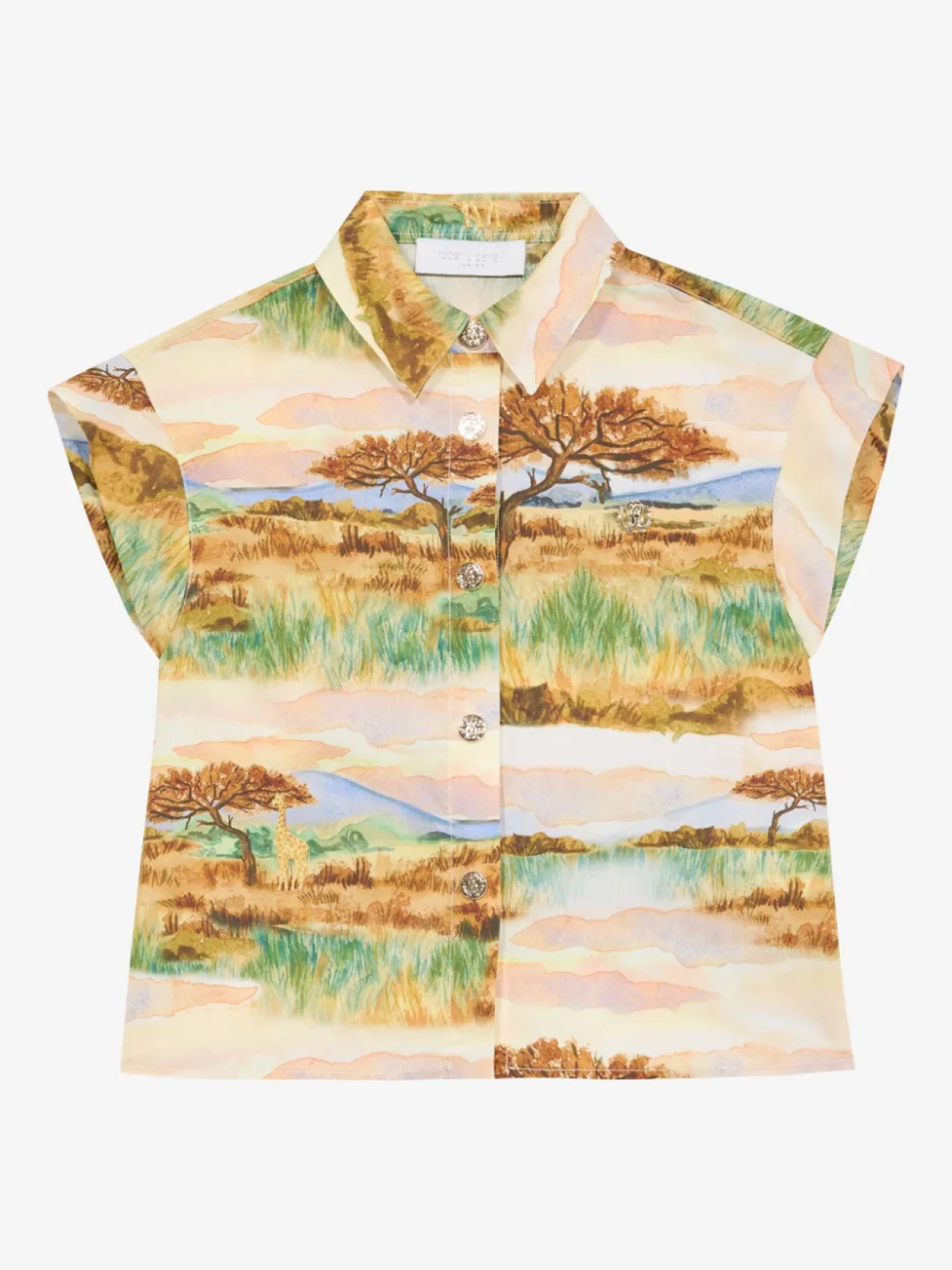 Футболка с графическим принтом Roberto Cavalli Junior, нейтральный
Футболка с графическим принтом Roberto Cavalli Junior, нейтральный